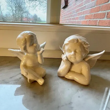 Weideblick Upgant-Schott